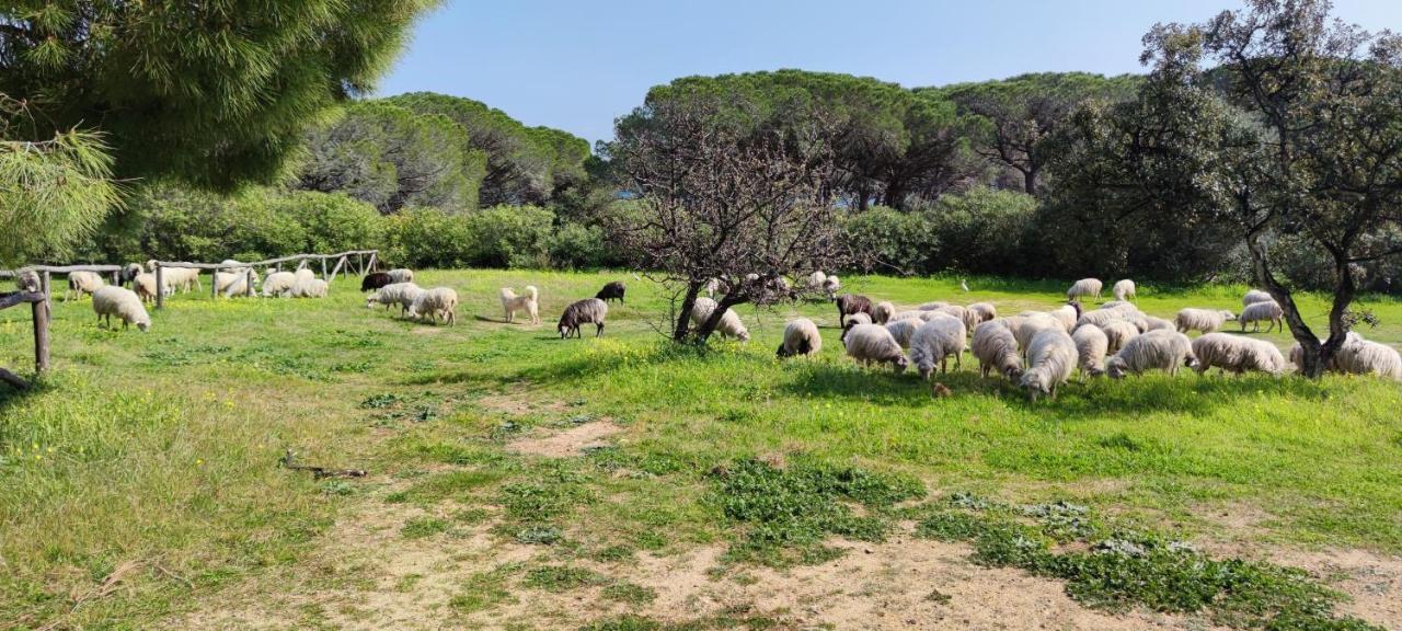 Dolce Casa Baia Sant'Anna - Budoni Dış mekan fotoğraf