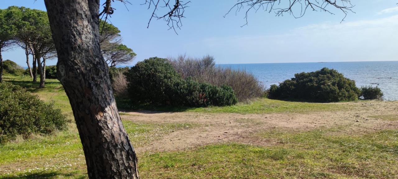 Dolce Casa Baia Sant'Anna - Budoni Dış mekan fotoğraf