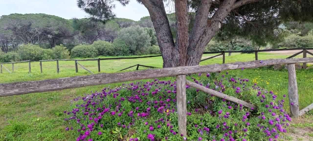 Dolce Casa Baia Sant'Anna - Budoni Dış mekan fotoğraf